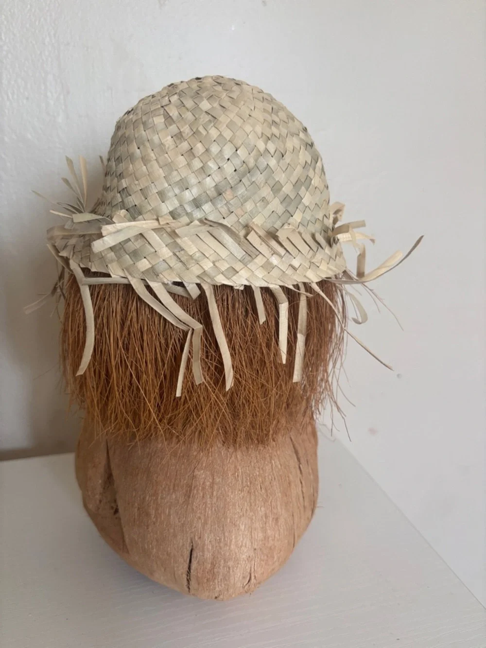 N/A decorative coconut